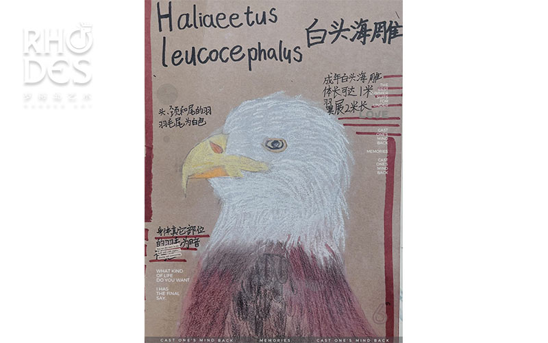 艺术素养课-G3学员作品3